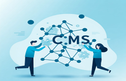 Why Enterprises Need a Custom CMS: Solving Business Challenges with Tailored Content Management Solutions